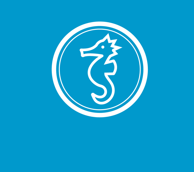 Bild für Kategorie Seepferdchen Grundkurse